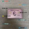 USA ADP Earnings bank AMEX rose gold card PSD scan and photo-realistic snapshot, 2 in 1