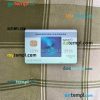 USA California BlueVine bank Blue Cash Everyday® Card from AMEX PSD scan and photo-realistic snapshot, 2 in 1