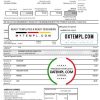Canadian American Express Air Miles Credit Card account statement easy to fill example in Word and PDF format