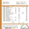 Chilean Banco del Estado de Chilean bank statement 3 - 6 months example in Word and PDF format
