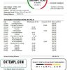 Cameroonian Atlantic bank statement 3 - 6 months example in Excel and PDF format