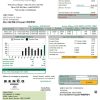 USA Minnesota Benco Elecric electricity easy fillable utility bill download example in Word and PDF format (.doc and .pdf)