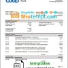 Estonian Coop Pank proof of address bank statement 3 - 6 months example in Word and PDF format