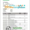 Nepali Nabil Bank bank statement 3 - 6 months example in Word and PDF format