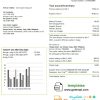 Philippines WeGen Energy Filipino utility bill download example in Word and PDF format