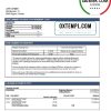 Norwegian Pareto Bank statement easy to fill example in Word and PDF format