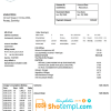 Dominican Electricity Services Limited electricity utility bill download example in Word and PDF format