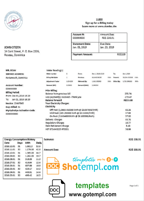 Dominican Electricity Services Limited electricity utility bill download example in Word and PDF format