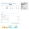 Icelandic National Power Company of Icelandic Landsvirkjun electricity utility bill download example in Word and PDF