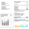 Kazakhstani Yokogawa Electric Kazakhstani utility bill download example in Word and PDF format (.doc and .pdf)