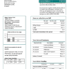 Mongolian Energy Corporation (MEC) electricity utility bill download example in Word and PDF format