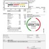 USA ADP Earnings statement example in .xls and .pdf file format
