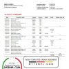 USA Texas 5Point Credit Union bank statement 3 - 6 months example in Word and PDF format