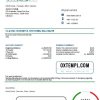 Lebanese Emirates Lebanese Bank statement example in Word and PDF format, good for address prove