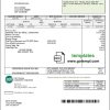 USA Arkansas C & L Electric Cooperative Corporation utility bill example in Word and PDF format