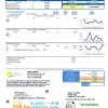 USA GEORGIA City of Albany water and electricity utility bill download example in Word and PDF format