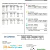 USA Florida City of Tallahassee Florida Your Own Utilities bill example in Word and PDF format