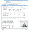 USA Nevada Southwest gas Corporation utility bill download example in Word and PDF format