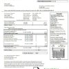 USA Connecticut The United Illuminating Company electricity utility bill download example in Word and PDF format
