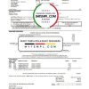 USA Wells Fargo bank credit card statement example in Word and PDF format