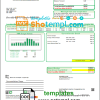 USA South Dakota Southeastern Electric utility bill download example in Word and PDF format