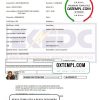 Nigerienia Eko Electricity Distribution Company (EKEDC) utility bill download example in Word and PDF format