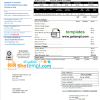 USA Texas Champion Energy Services proof of address utility bill download example in Word and PDF format