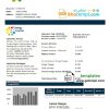 Chilean Energy Capital utility bill download example in Word and PDF format