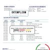 Dutch Triodos Bank statement easy to fill example in Word and PDF format