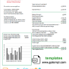 Omani Electricity Transmission Company electricity utility bill download example in Word and PDF format