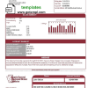 USA North Dakota South Central Regional Water District utility bill download example in Word and PDF format