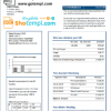 Somali NESCOM Company electricity utility bill download example in Word and PDF format