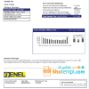 Nicaraguan Nicaraguann Electricity Company ENEL electricity utility bill download example in Word and PDF format