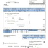 USA Texas San Patricio Electric Corporative utility bill download example in Word and PDF (.doc and .pdf) format