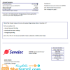 Senegalese Senelec Agence Sacré Coeur Company electricity utility bill download example in Word and PDF format