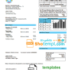 Nigerienia Nigerienian Electricity Regulatory Commission electricity utility bill download example in Word and PDF format