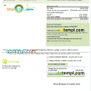 Georgian Electrics.ge electricity bill example in Word and PDF format