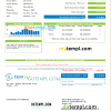 UAE Noor Life Pure Water LLC utility bill download example in Word and PDF format