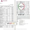 Indian Axis Bank statement example in Word and PDF format (2 pages)
