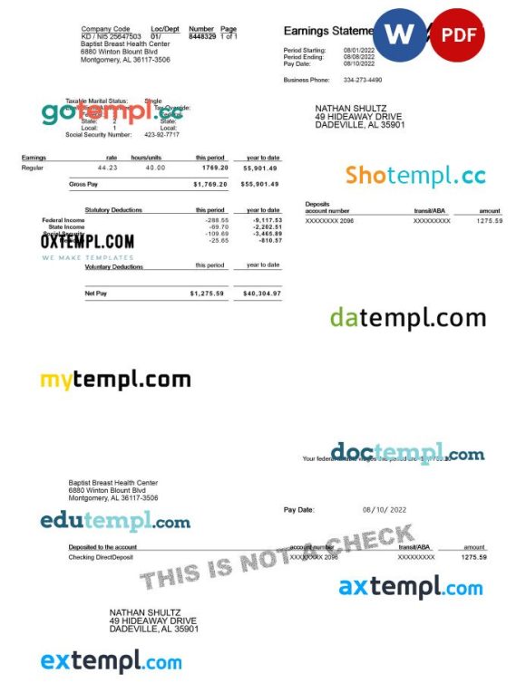 ADP earnings statement Word and PDF example, version 2