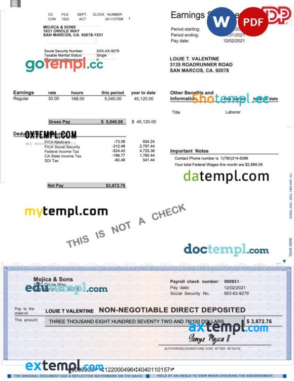ADP earnings statement Word and PDF example