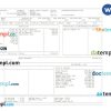AM NS Indian pay stub Word and PDF example