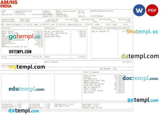 AM NS Indian pay stub Word and PDF example
