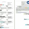 Abacus Korean Air airplane e-ticket, Word and PDF download template, 2 pages