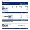 Aerospace company earning statement example in Word and PDF formats