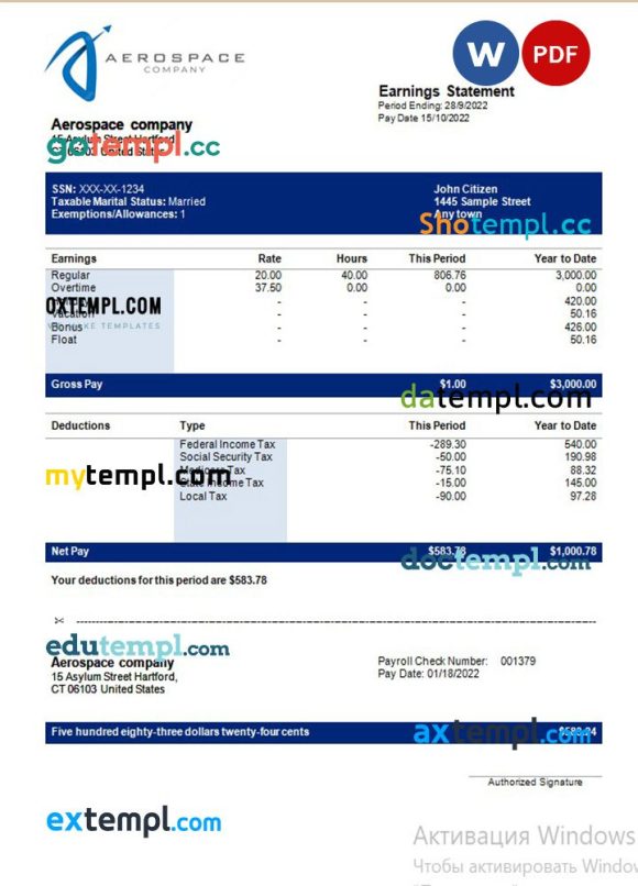 Aerospace company earning statement example in Word and PDF formats