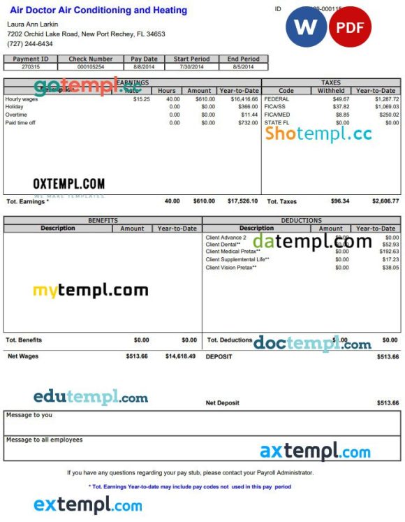 Air Doctor pay stub Word and PDF example