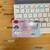 Albania driving license editable PSD files, scan look and photo-realistic look, 2 in 1 (2015-present)
