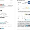Amadeus + TAP Portugal airplane e-ticket, Word and PDF download template, 3 pages