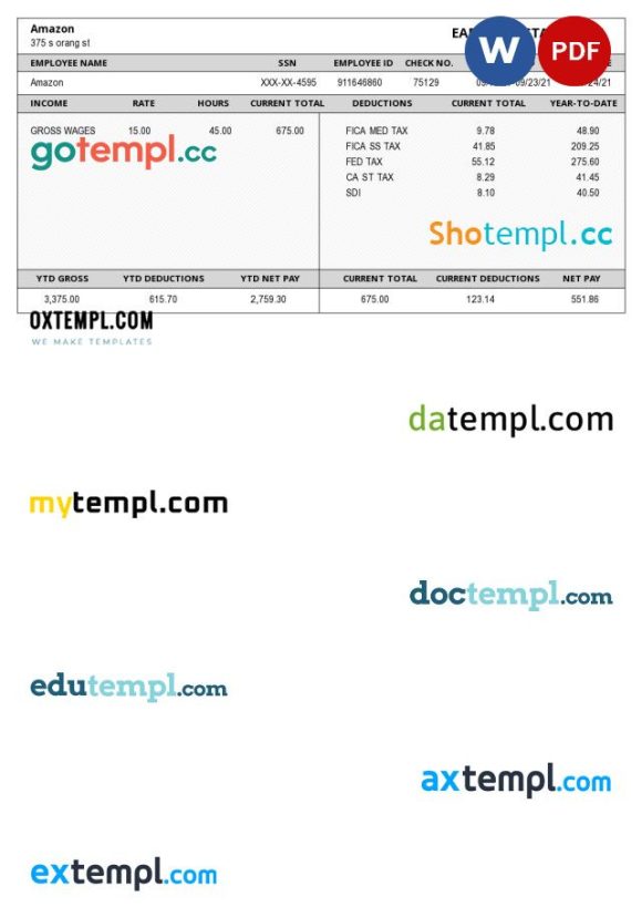 AMAZON earnings statement Word and PDF example